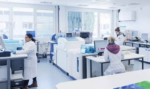 新聞動(dòng)態(tài)